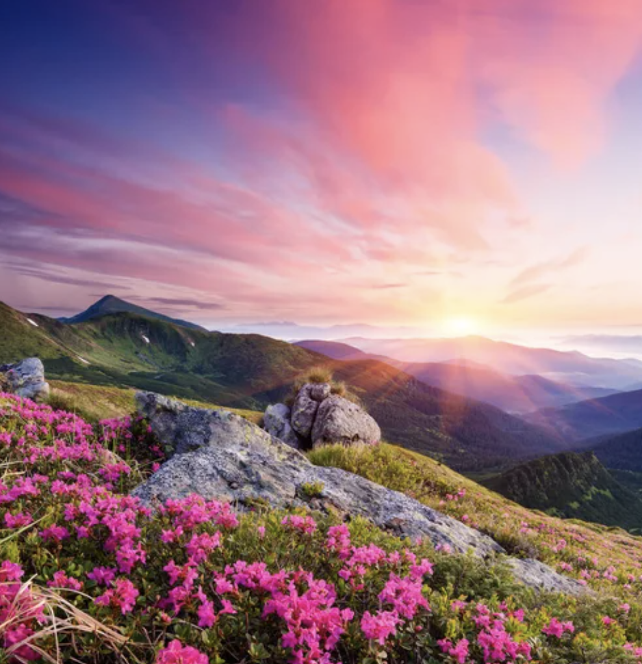 Vika course button stage 2 CS0122