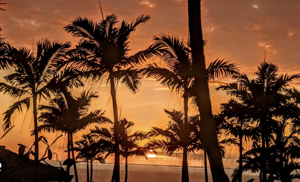 Vika course button 9 CS0140